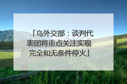 乌外交部：谈判代表团将重点关注实现完全和无条件停火