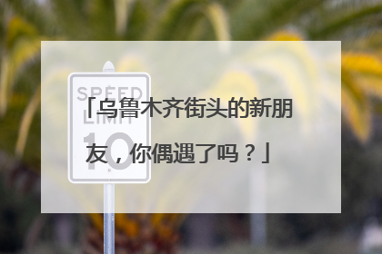 乌鲁木齐街头的新朋友，你偶遇了吗？