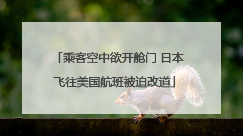 乘客空中欲开舱门 日本飞往美国航班被迫改道