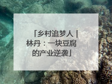 乡村追梦人｜林丹：一块豆腐的产业逆袭