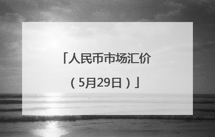 人民币市场汇价（5月29日）