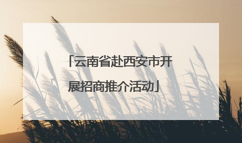 云南省赴西安市开展招商推介活动