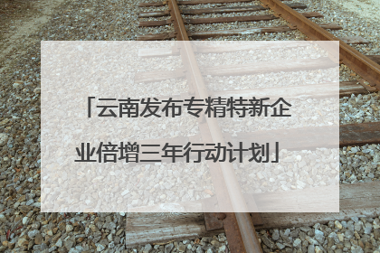 云南发布专精特新企业倍增三年行动计划