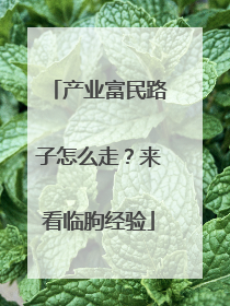 产业富民路子怎么走？来看临朐经验