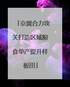 京冀合力攻关打造区域粮食单产提升样板田