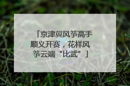 京津冀风筝高手顺义开赛，花样风筝云端“比武”