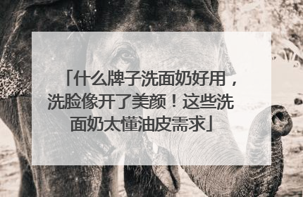 什么牌子洗面奶好用，洗脸像开了美颜！这些洗面奶太懂油皮需求