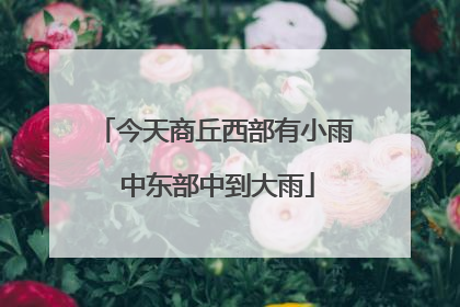 今天商丘西部有小雨 中东部中到大雨