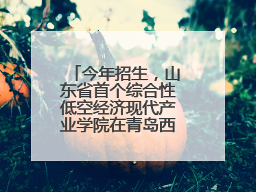 今年招生，山东省首个综合性低空经济现代产业学院在青岛西海岸新区揭牌