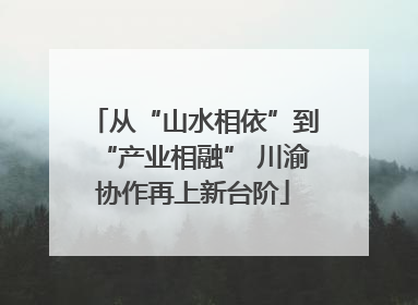 从“山水相依”到“产业相融” 川渝协作再上新台阶