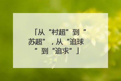 从“村超”到“苏超”，从“追球”到“追求”