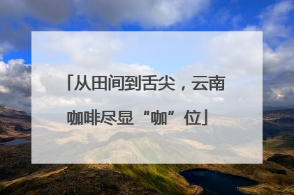 从田间到舌尖，云南咖啡尽显“咖”位