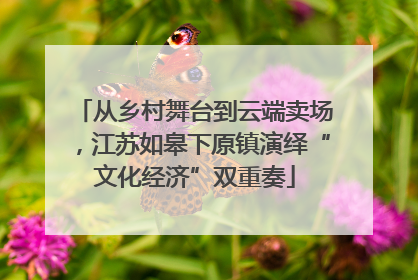 从乡村舞台到云端卖场，江苏如皋下原镇演绎“文化经济”双重奏