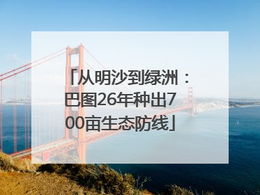 从明沙到绿洲：巴图26年种出700亩生态防线