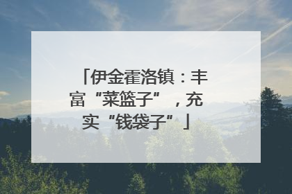 伊金霍洛镇：丰富“菜篮子”，充实“钱袋子”