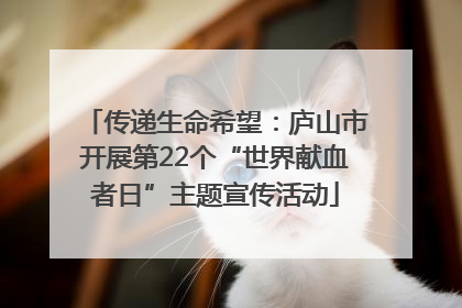 传递生命希望：庐山市开展第22个“世界献血者日”主题宣传活动