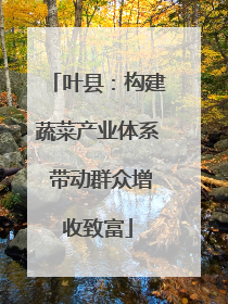 叶县：构建蔬菜产业体系 带动群众增收致富