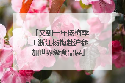 又到一年杨梅季！浙江杨梅赴沪参加世界级食品展