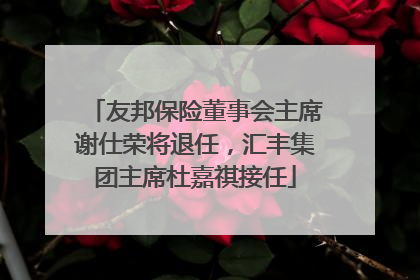 友邦保险董事会主席谢仕荣将退任，汇丰集团主席杜嘉祺接任