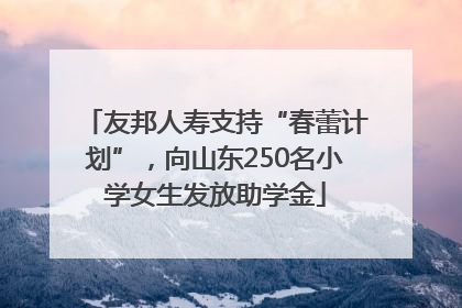 友邦人寿支持“春蕾计划”，向山东250名小学女生发放助学金