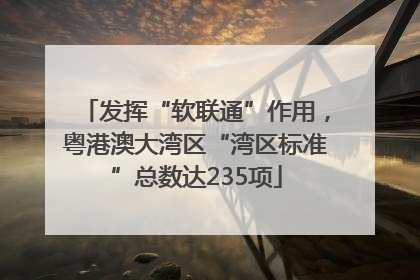 发挥“软联通”作用，粤港澳大湾区“湾区标准”总数达235项