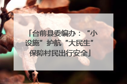 台前县委编办：“小设施”护航“大民生” 保障村民出行安全