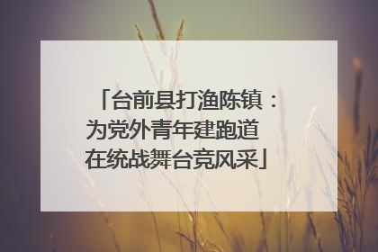 台前县打渔陈镇：为党外青年建跑道 在统战舞台竞风采