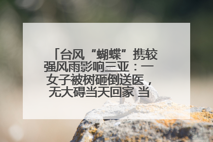 台风“蝴蝶”携较强风雨影响三亚：一女子被树砸倒送医，无大碍当天回家 当地已紧急清障