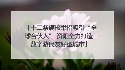 十二条硬核举措吸引“全球合伙人” 资阳全力打造数字游民友好型城市
