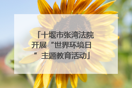 十堰市张湾法院开展“世界环境日”主题教育活动