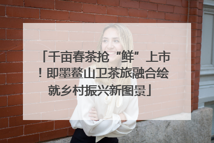 千亩春茶抢“鲜”上市！即墨鳌山卫茶旅融合绘就乡村振兴新图景