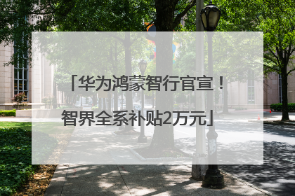华为鸿蒙智行官宣！智界全系补贴2万元