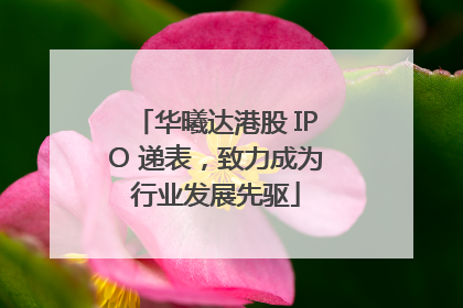 华曦达港股 IPO 递表，致力成为行业发展先驱