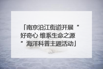 南京沿江街道开展“好奇心 维系生命之源”海洋科普主题活动