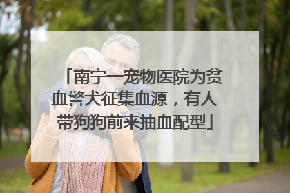 南宁一宠物医院为贫血警犬征集血源，有人带狗狗前来抽血配型