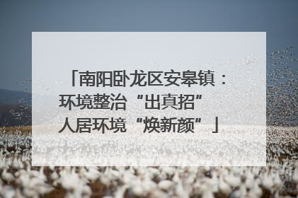 南阳卧龙区安皋镇：环境整治“出真招” 人居环境“焕新颜”
