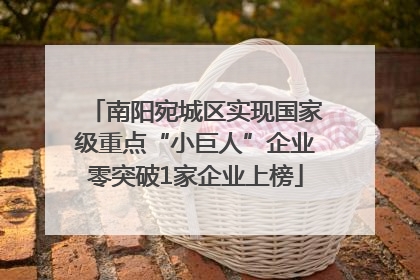 南阳宛城区实现国家级重点“小巨人”企业零突破1家企业上榜