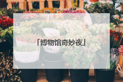 博物馆奇妙夜