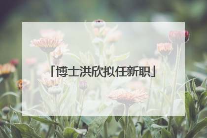 博士洪欣拟任新职