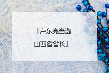卢东亮当选山西省省长