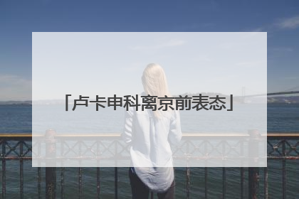 卢卡申科离京前表态