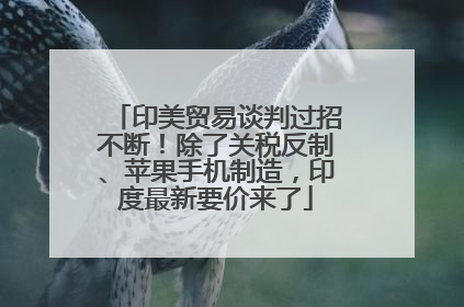 印美贸易谈判过招不断！除了关税反制、苹果手机制造，印度最新要价来了