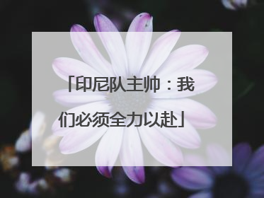 印尼队主帅：我们必须全力以赴