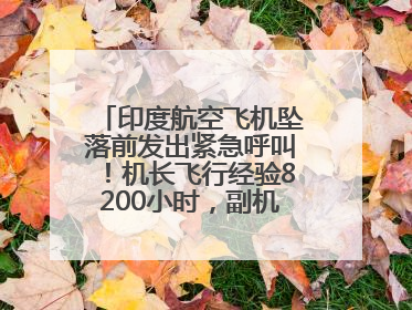 印度航空飞机坠落前发出紧急呼叫！机长飞行经验8200小时，副机长1100小时