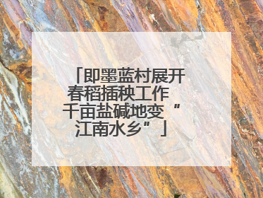 即墨蓝村展开春稻插秧工作 千亩盐碱地变“江南水乡”