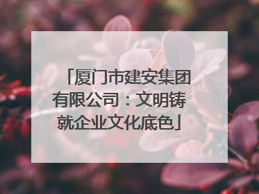 厦门市建安集团有限公司：文明铸就企业文化底色