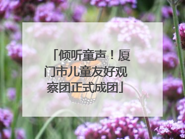 倾听童声！厦门市儿童友好观察团正式成团