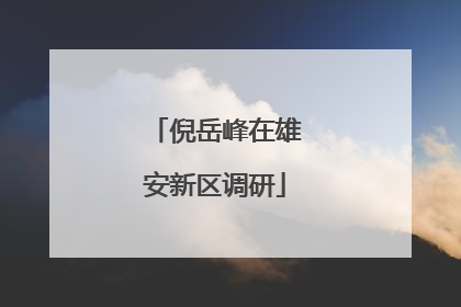倪岳峰在雄安新区调研