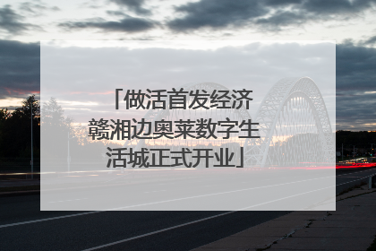 做活首发经济 赣湘边奥莱数字生活城正式开业