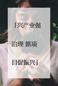 兴产业强治理 抓项目促振兴